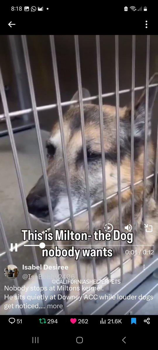 Winterskyblu's tweet image. Milton
x.com/i/status/20097…