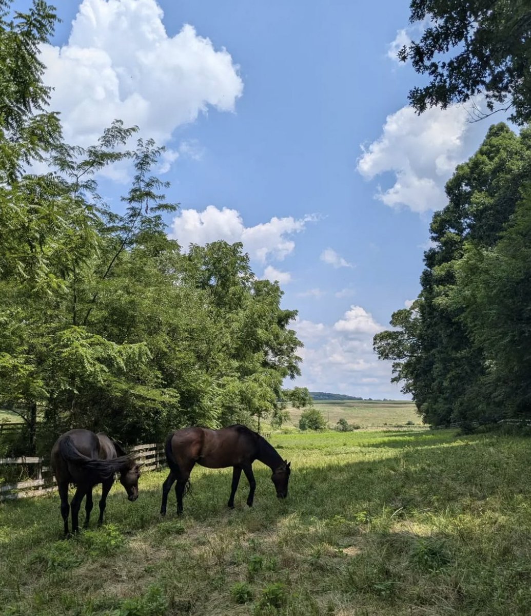 Dr. Julie Gurner tweet media