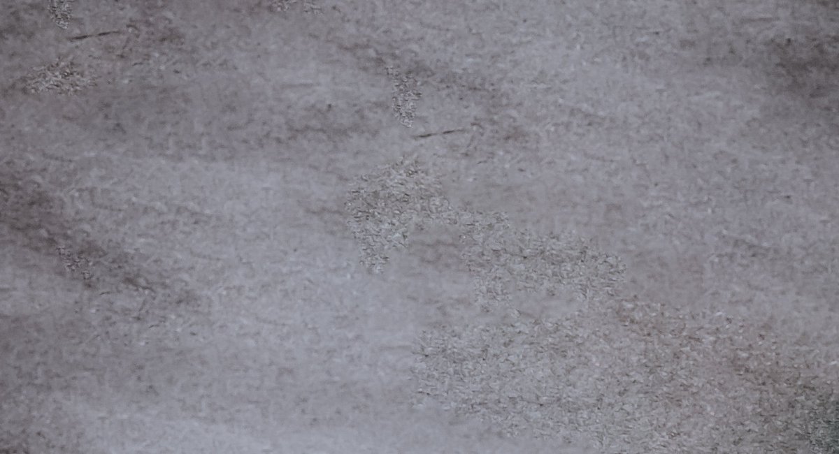 ادخل التغريدة