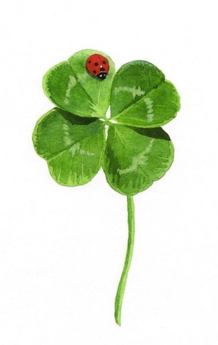 tarotdori's tweet image. Uğurlu dört yapraklı yonca 🍀✨Beğenirsen en çok manifestlediğin şey gerçek olacak✨