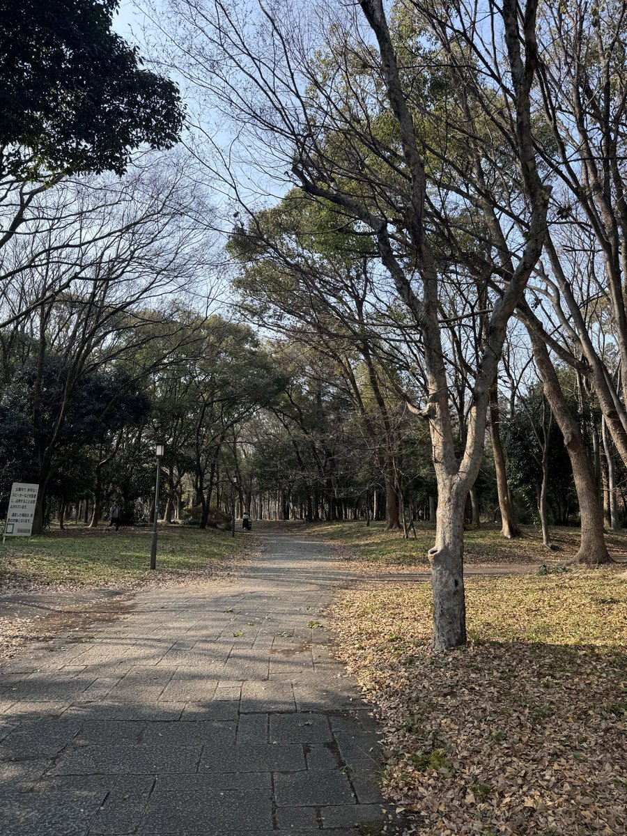 散歩が好きで
久しぶりにお散歩🚶

多い時５キロは歩く！