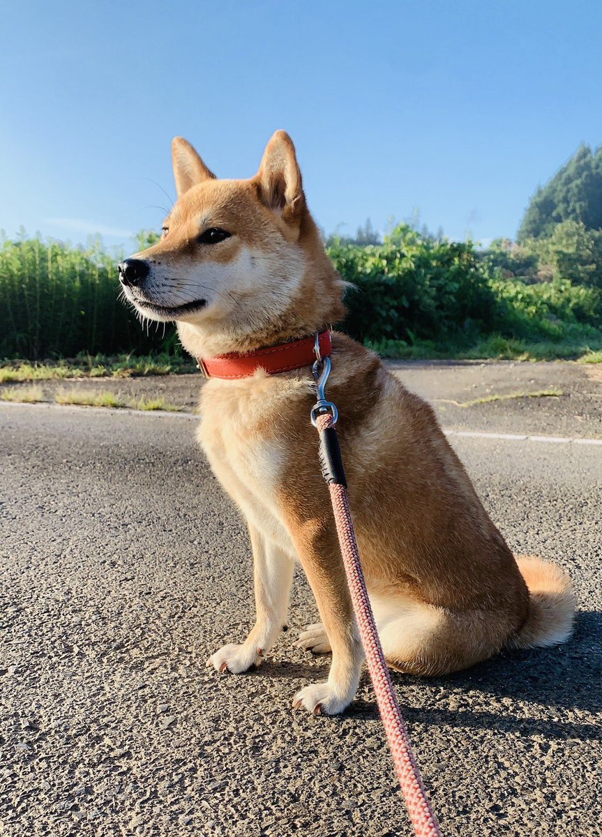 奈月@お取引の方はプロフ確認下さい。 tweet media