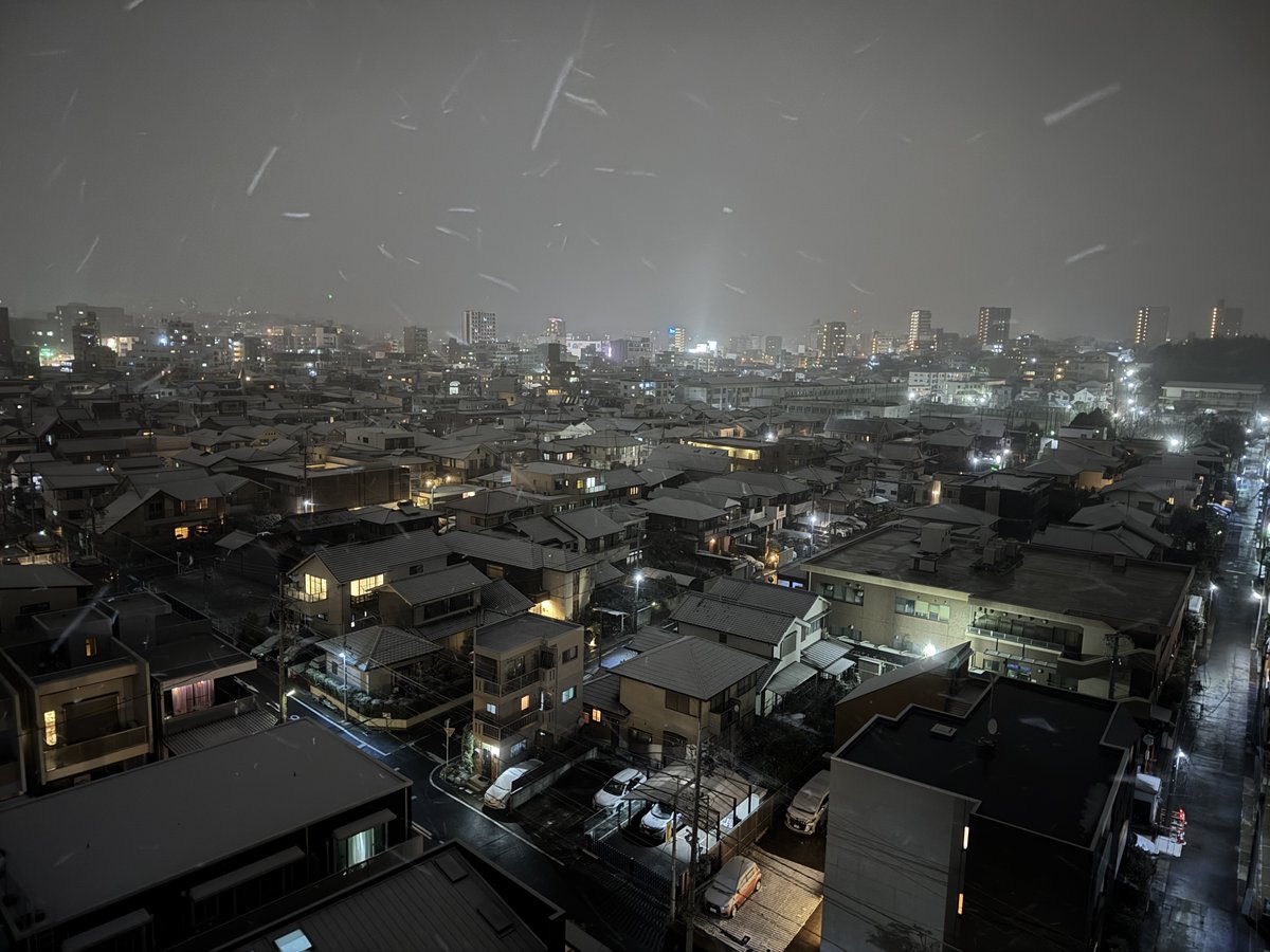 珍しく、名古屋も雪