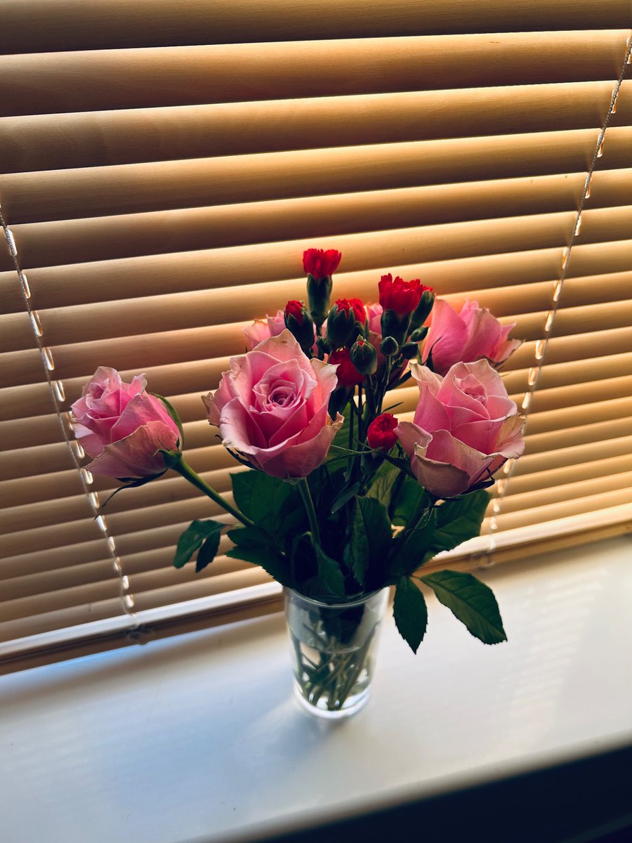 I’ve written a new poem titled ‘terraced house’. Check it out on my official Instagram and Facebook pages, and also on amytollyfield.com/about 

Poem copyright Amy Tollyfield, January 2026 
Photo copyright Amy Tollyfield, 2025