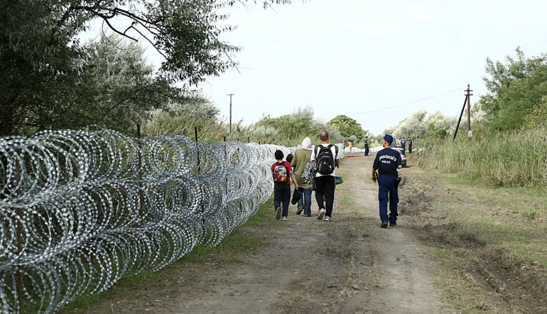 Open Migration tweet media