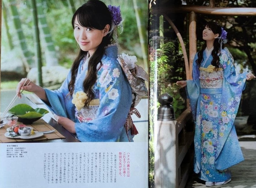 戸田恵梨香ちゃんが、着物屋さんのパンフレットで着てた振袖が可愛くて