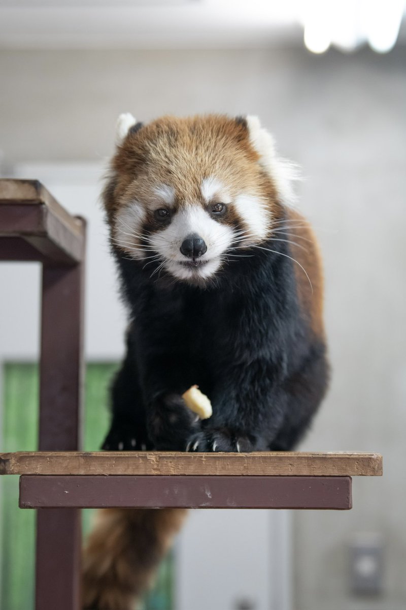 mimi (@mimi0709r) / Posts / X