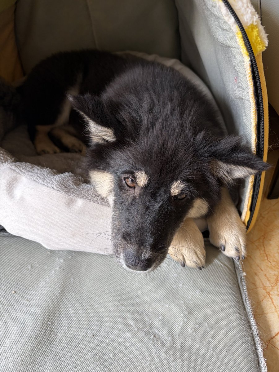 I'm taking a break recently, and the commission work will be relatively slow.