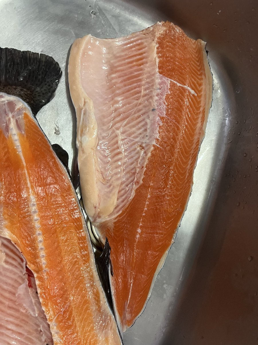 脂エグい
魚の脂じゃねぇよこれ