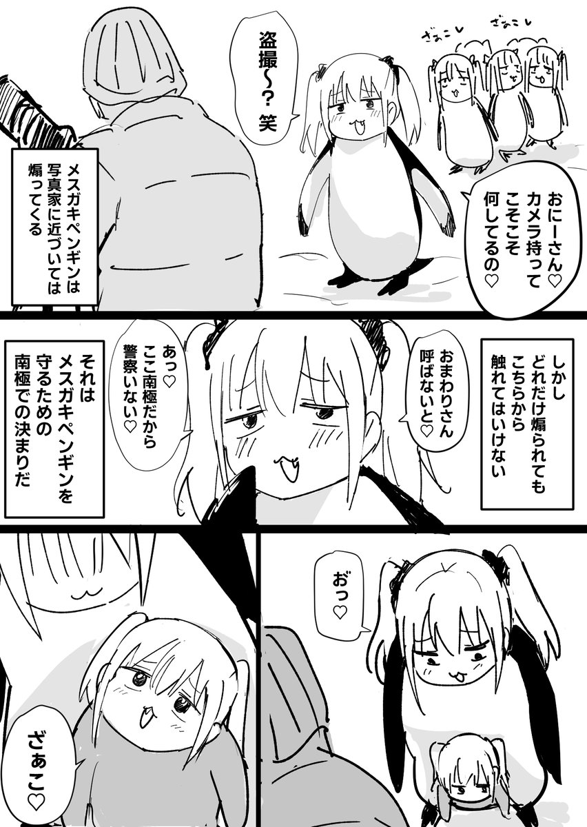 メスガキペンギン