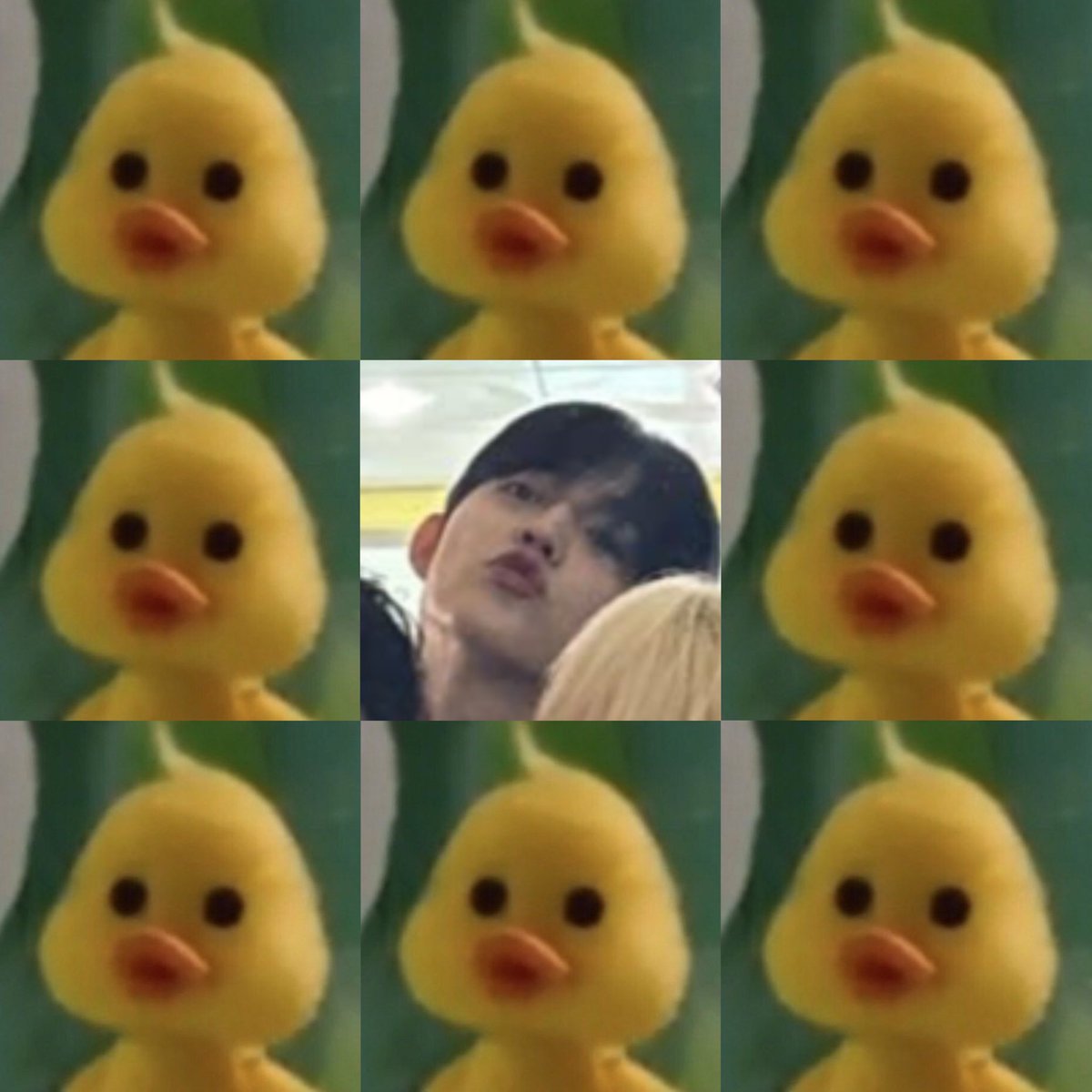 aboutscoups's tweet photo. https://t.co/jNOc19QTN2