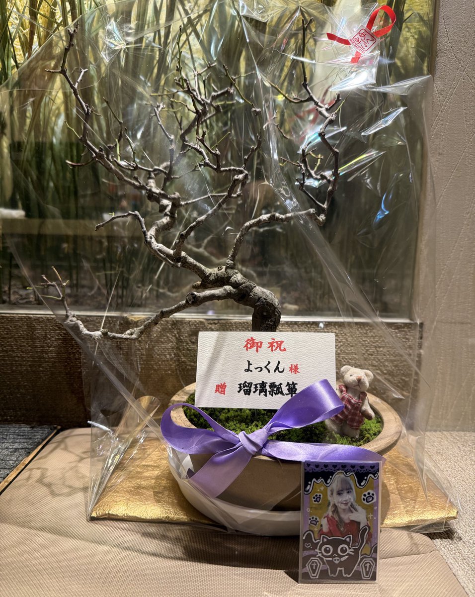 よっくん、HBD!.🎉 瑠璃色の瓢箪がなるまで、頑張って育ててね！ 盆栽