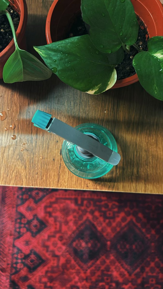 _4fa00's tweet image. عصرية ..