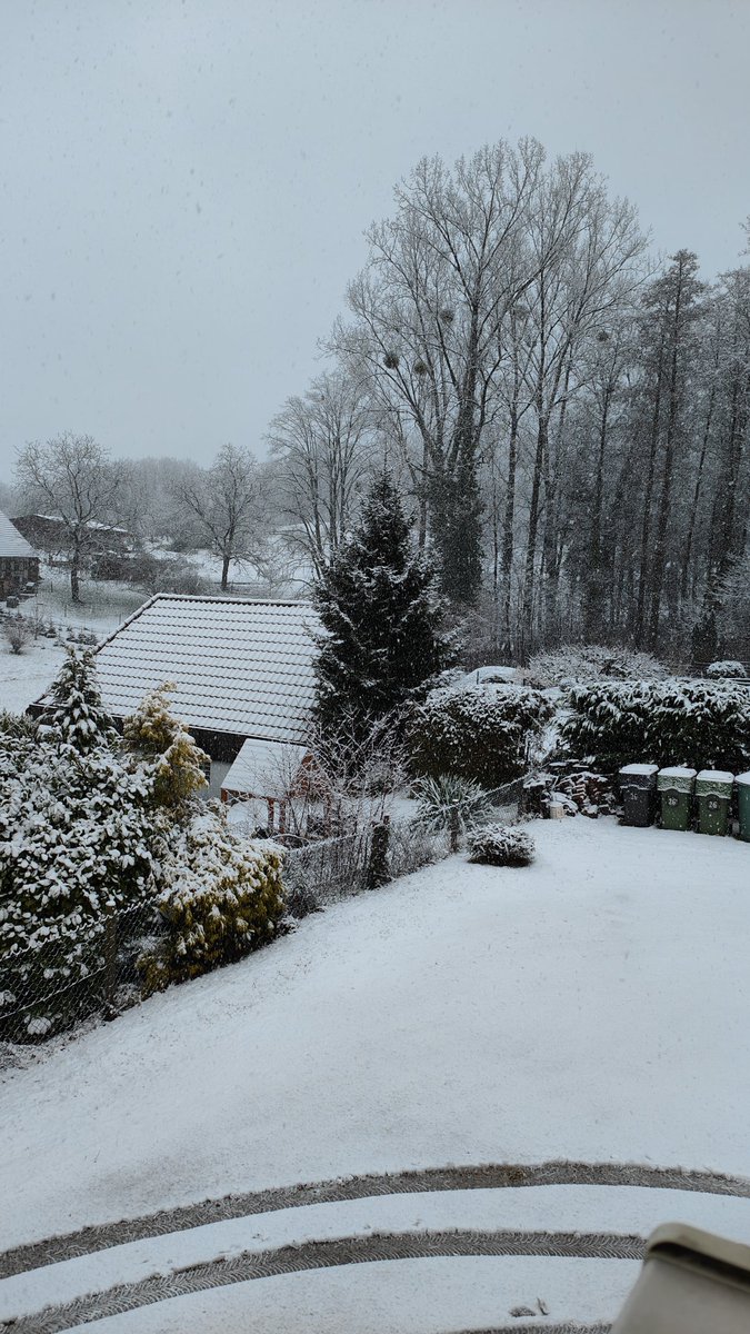 drttsk's tweet image. En Hawkins últimamente siempre está nevado...