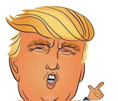 Second sourdough loaf. I'm calling it The Donald.