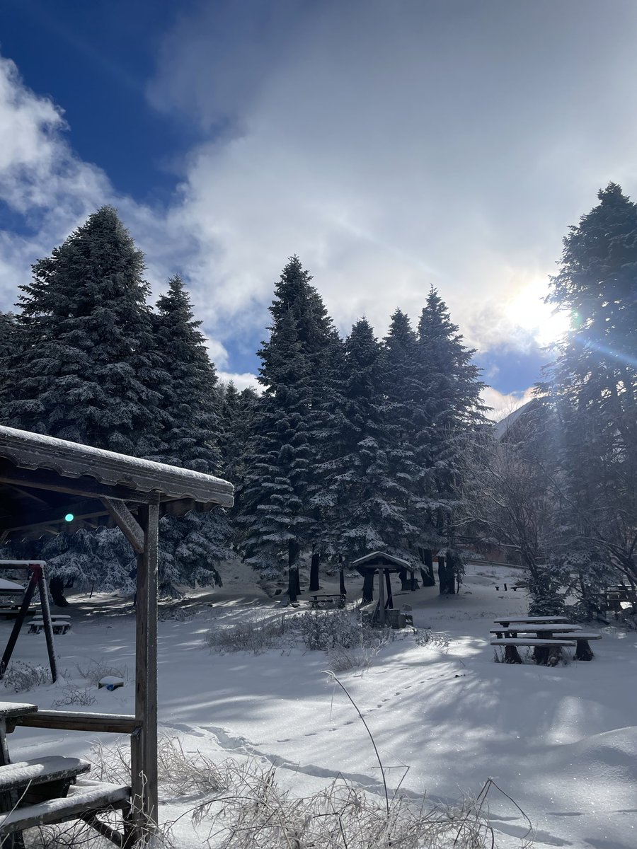 Kar her şeyi daha sakin yapıyor ❄️