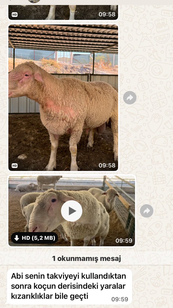 Kendimizle yarışıyoruz :)