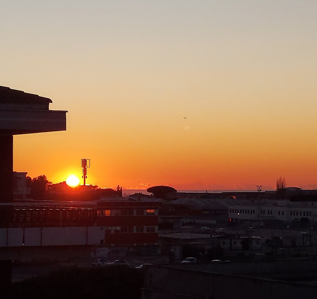 Maria Lea tweet media