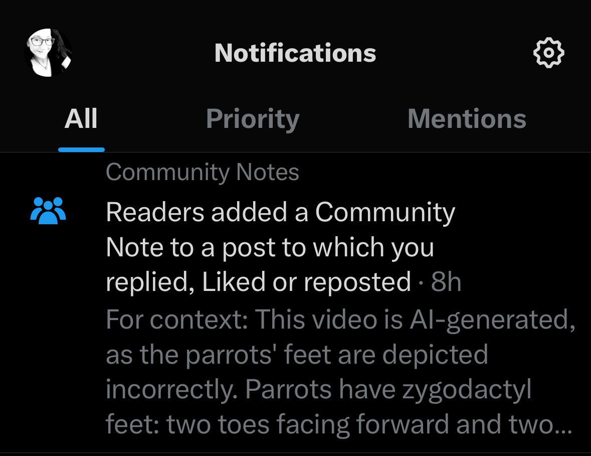I received a **warning** from Twitter Community Notes about a video I liked. 

Life is dark these days. Let me enjoy the dancing parrots! 😩