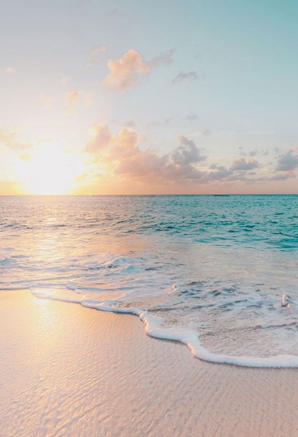 lulusanova's tweet image. 電車で隣の人が読んでる新聞の見出しが
気になってついつい一緒に読んでしまった 🦾