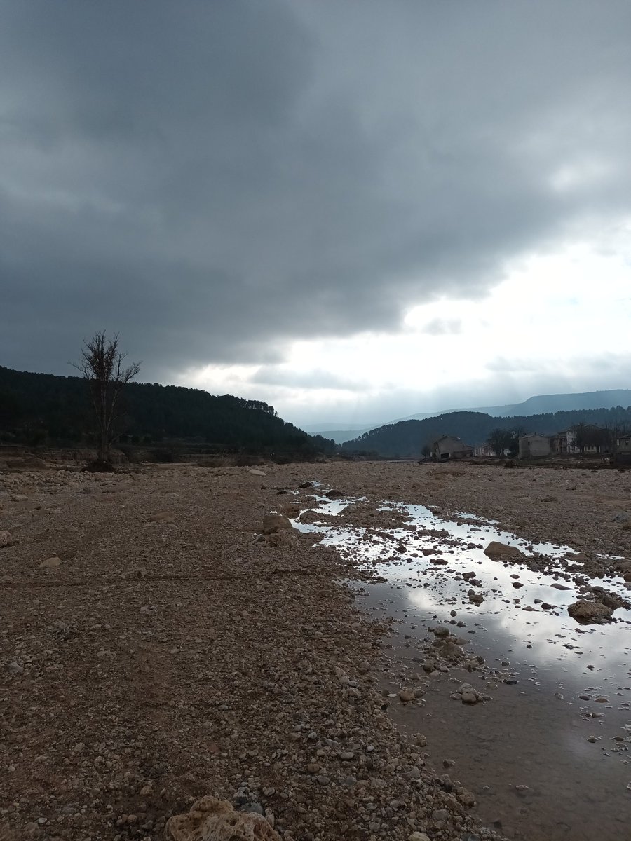 _T0LC's tweet image. Día de campo!