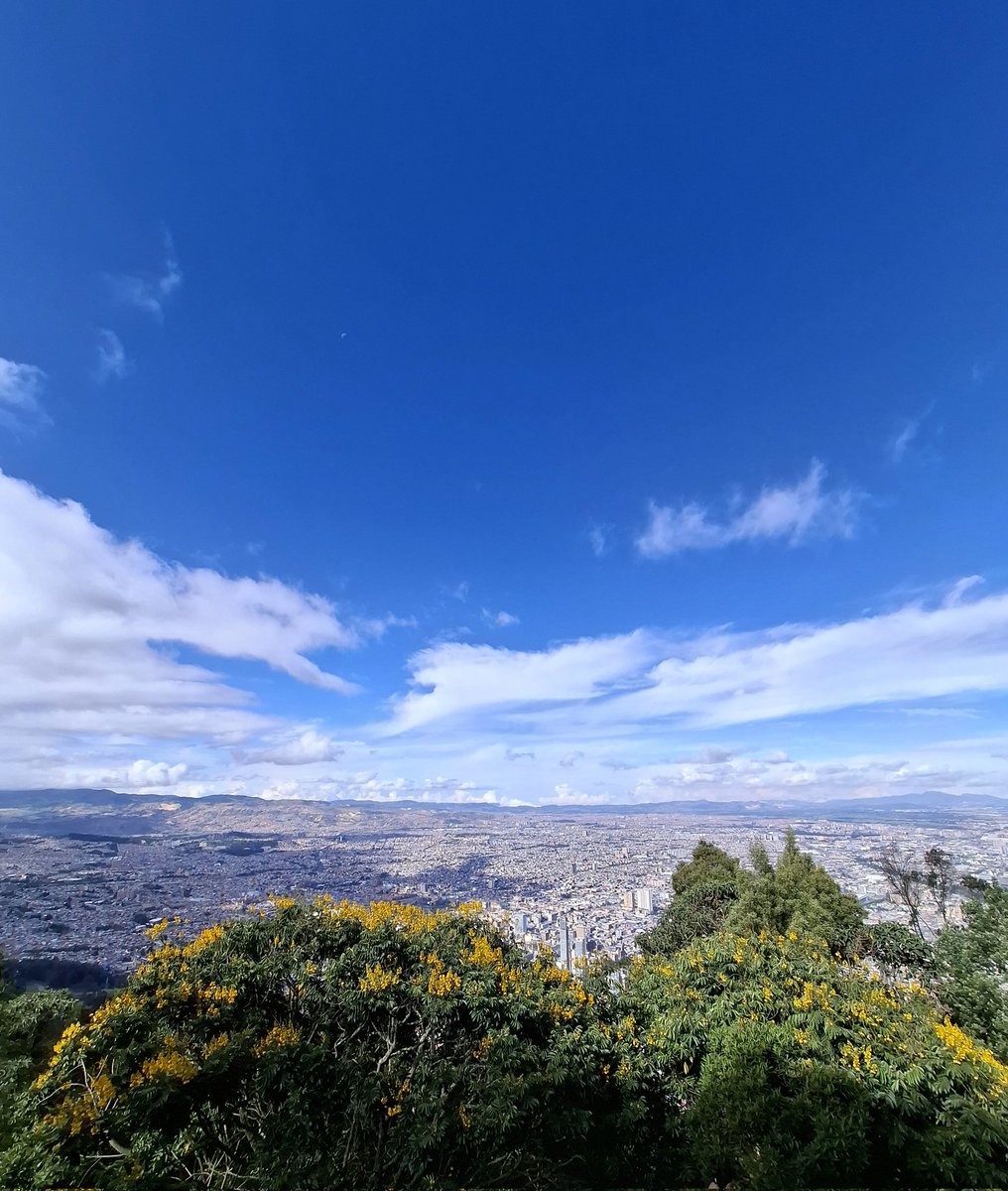 piojo1948's tweet image. En la grande capital hay una banda... ⚪️🔴⚪️