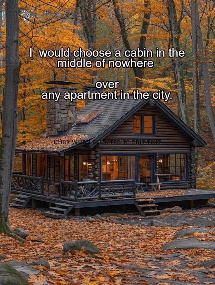 cabinsmountain's tweet image. 