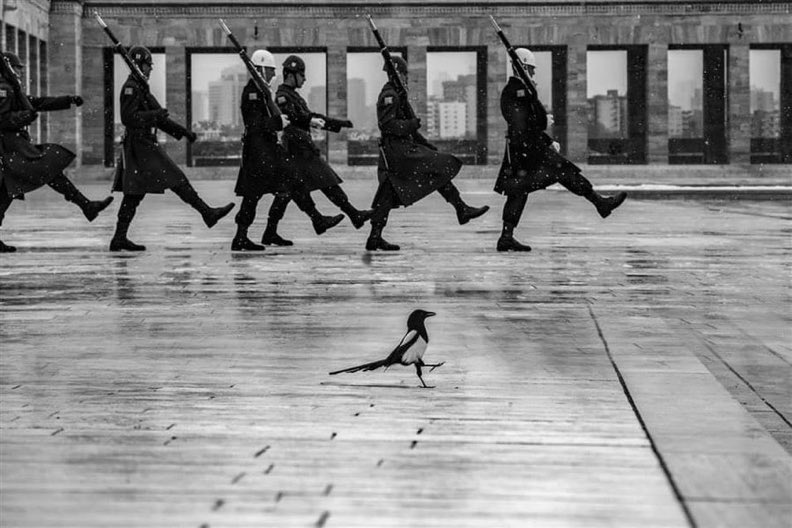 Ankara Anıtkabir'de
çekilen bir fotoğraf

#karyağışı #Ankara