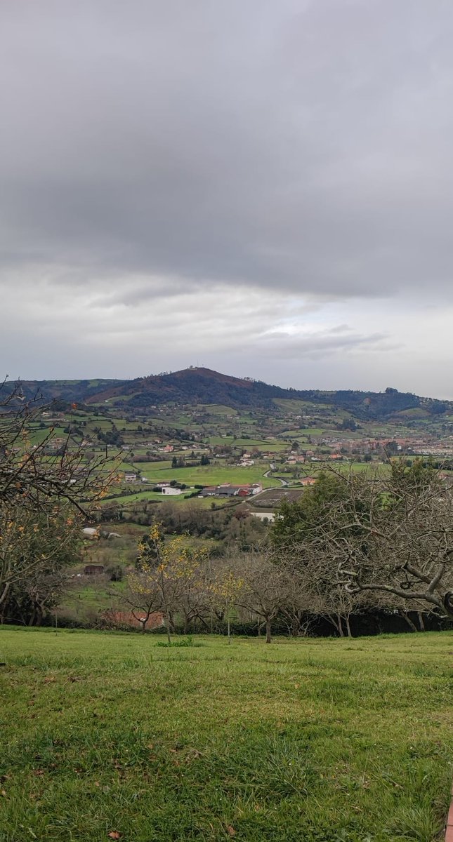 aliferalb's tweet image. Asturias 🧍‍♀️