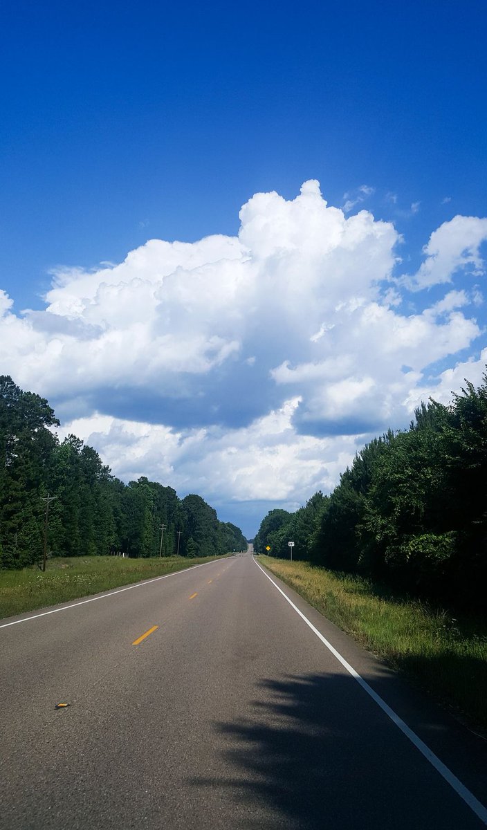 shadowmau's tweet image. 友達との約束が14時からだからあと2時間ある 👩‍🌾