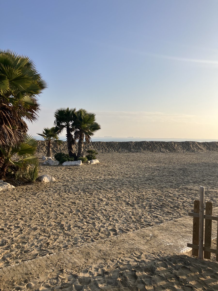 Michael Meyer tweet media