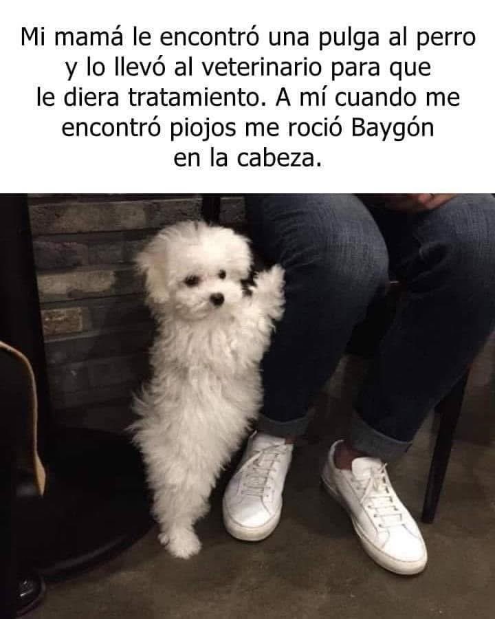 Acompáñeme a ver está triste historia 🥺