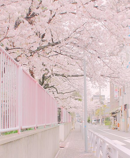 intellectgroup's tweet image. スーパーでタイムセールをやっていて、お肉が30パーセント引きだった 👨‍💻