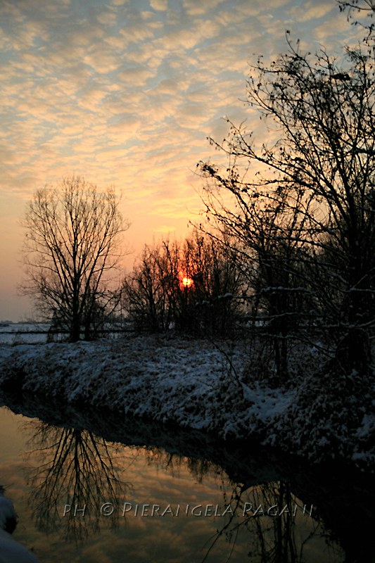 @ferrarisergio4 tweet media