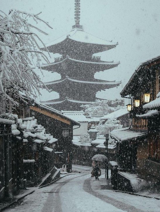 philchat's tweet image. コンビニで新しいアイスを試したら、思ったより甘すぎて最後まで食べられなかった 🦖