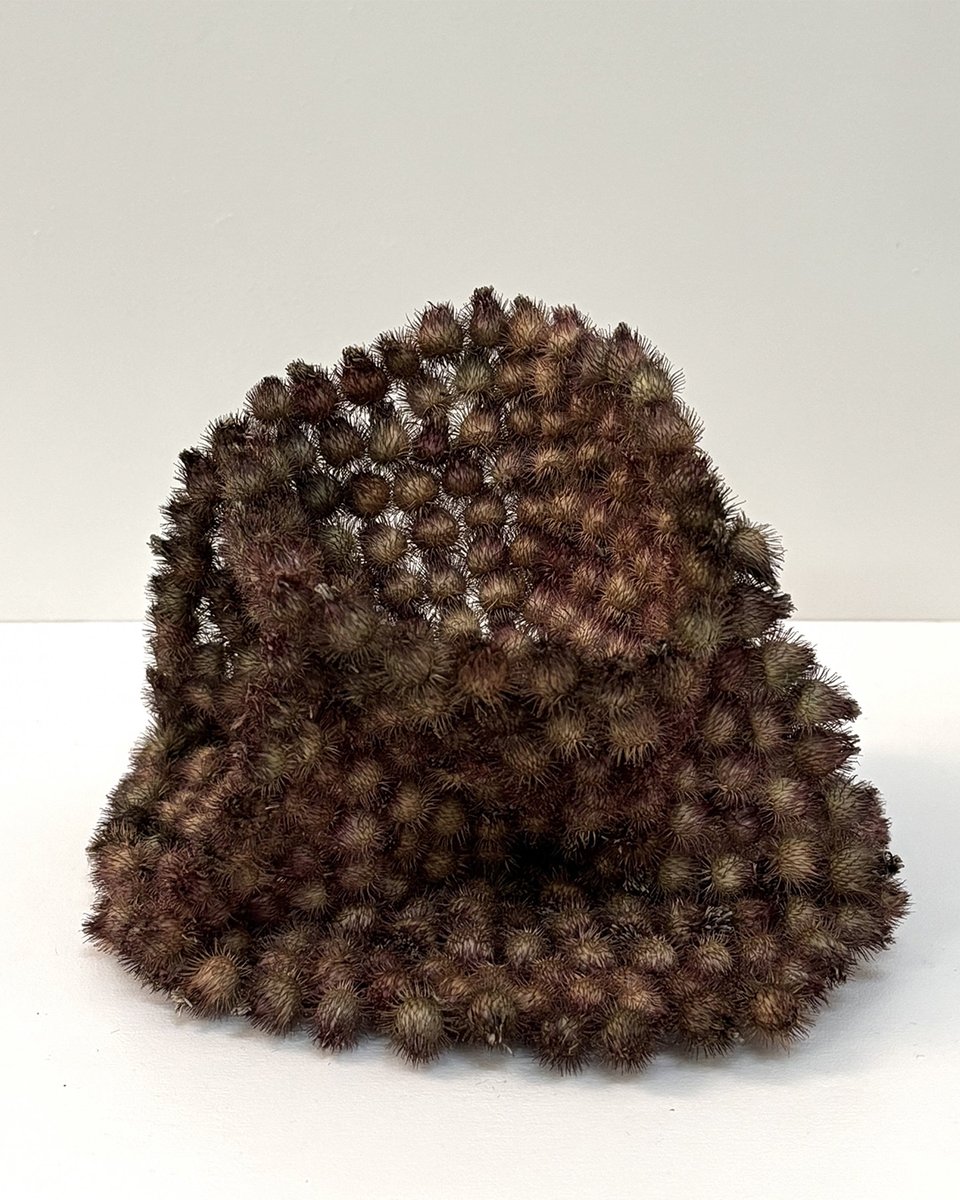 Feria ARCO tweet media