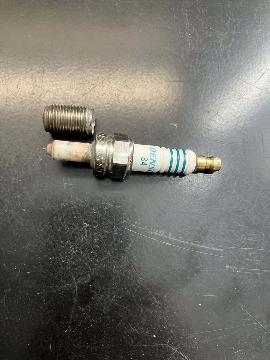 Shawn Wood tweet media