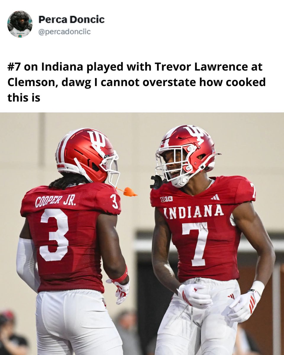 banyCanes's tweet image. 