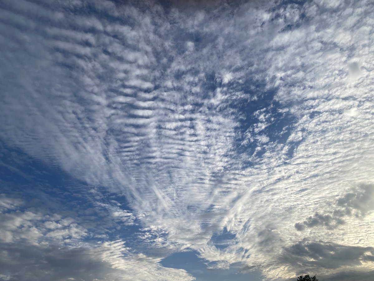 jones_pete87828's tweet image. Had several days with complete clouds and strange fog, then with the slightest clearing, we had ChemTrails and Frequency clouds on 1-10-26 in Houston.