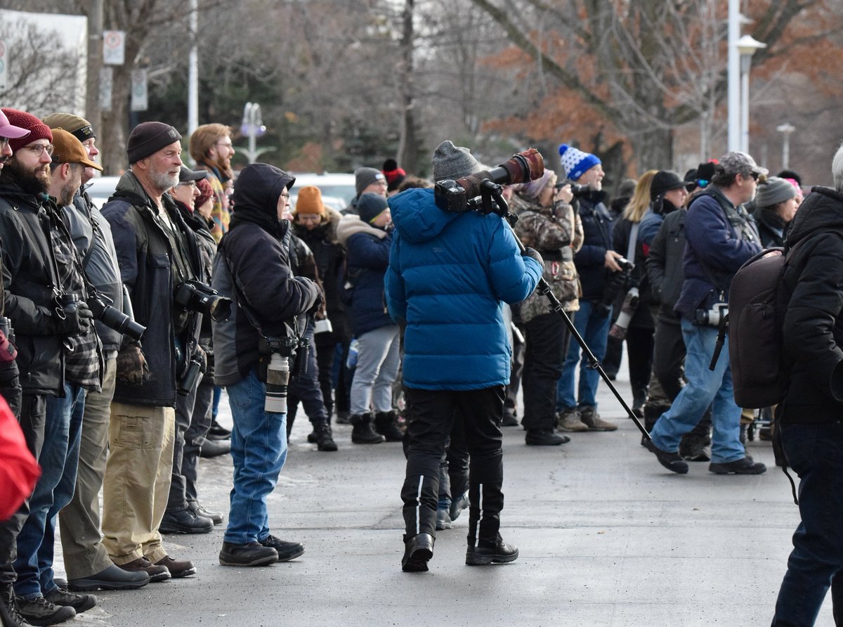 AShields_Devoir's tweet image. Des centaines d’ornithologues convergent vers Montréal pour un oiseau venu d’Europe (qui aurait donc traversé l'Atlantique) et observé pour la première fois au Canada. Reportage @LeDevoir et des photos de passionnés qui étaient présents samedi.
-Texte: ledevoir.com/actualites/env…