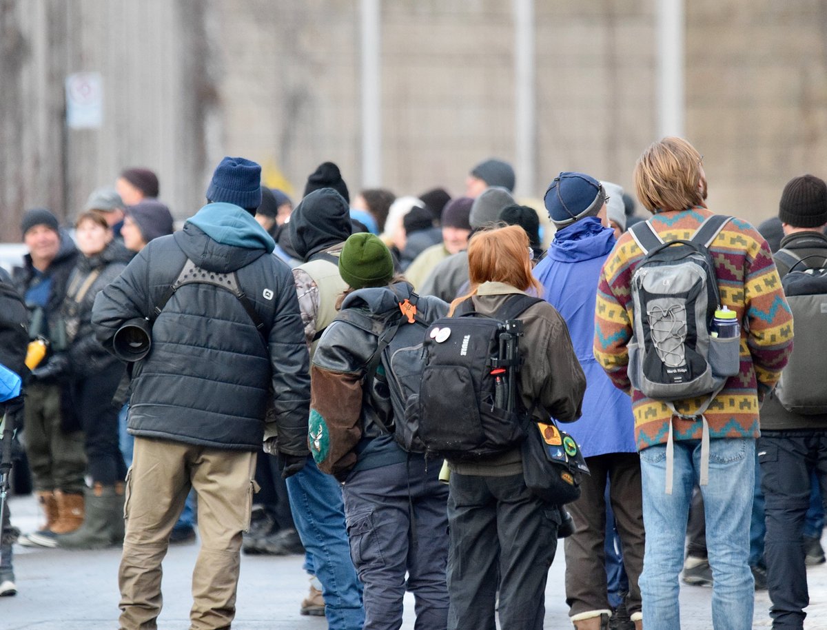 AShields_Devoir's tweet image. Des centaines d’ornithologues convergent vers Montréal pour un oiseau venu d’Europe (qui aurait donc traversé l'Atlantique) et observé pour la première fois au Canada. Reportage @LeDevoir et des photos de passionnés qui étaient présents samedi.
-Texte: ledevoir.com/actualites/env…