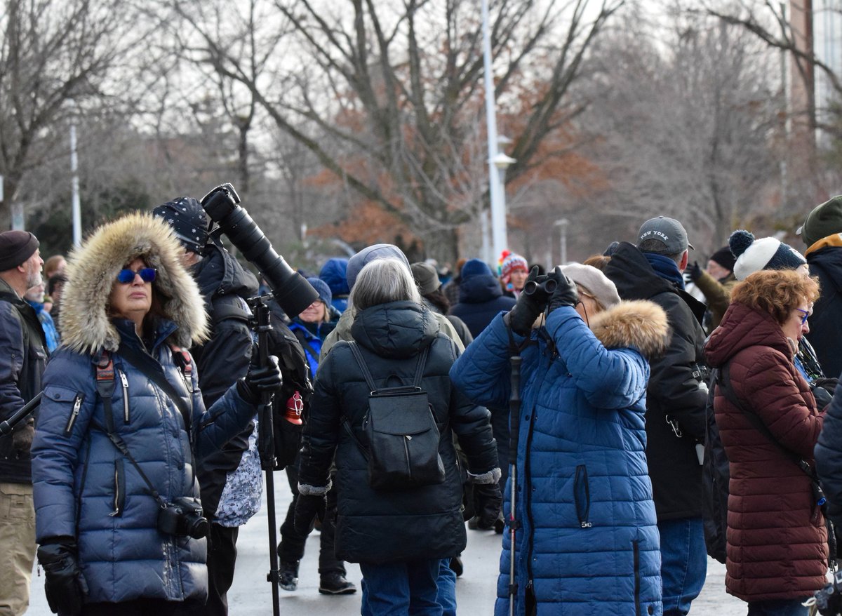 AShields_Devoir's tweet image. Des centaines d’ornithologues convergent vers Montréal pour un oiseau venu d’Europe (qui aurait donc traversé l'Atlantique) et observé pour la première fois au Canada. Reportage @LeDevoir et des photos de passionnés qui étaient présents samedi.
-Texte: ledevoir.com/actualites/env…