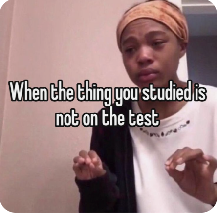 OctaviaWriter's tweet image. To make matters worse, you spent the entire day trying to perfect it..........