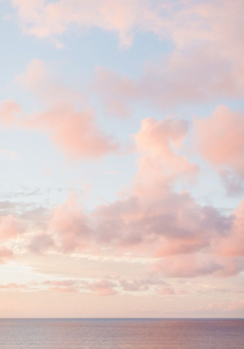 erbivek's tweet image. 電車で席に座れて30分爆睡した 🦏