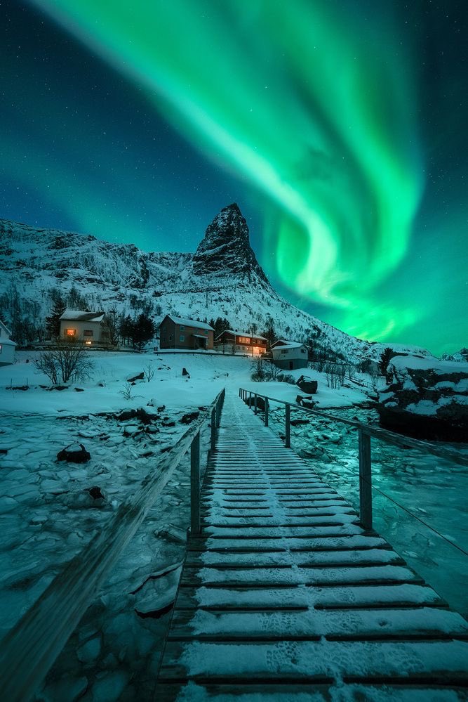 purenature_1's tweet image. Northern lights ❄️💚 #winter #snow
