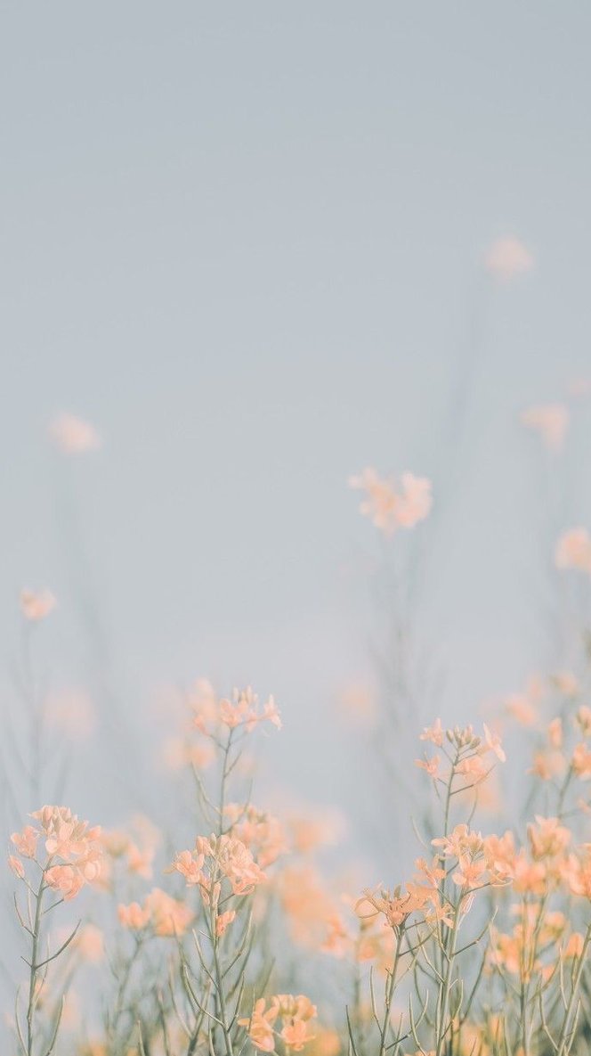 candycheuk's tweet image. 後輩から仕事の相談を受けたけど、自分もまだまだ分からないことだらけで、あまり役に立てなくて申し訳ない 👩‍🏭