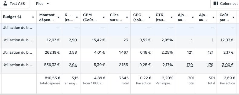 Update sur les deux derniers jours. 

Après les modifications qu'on a apporté ROAS de 4 hier, il a doublé les budgets sans me prevenir ce matin 🤣 mais ça a suivi donc tant mieux, 4 de ROAS a 13h donc on a decidé de surfscaler, au final le shop est monté a 2k day en 2j et