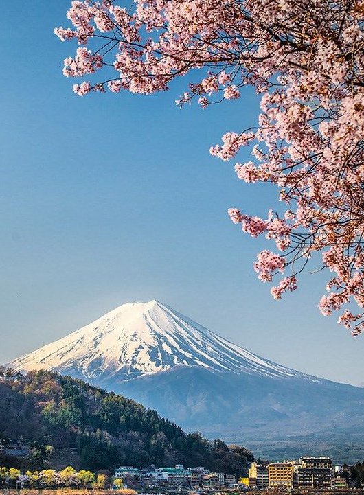 simonbus's tweet image. 今日は暑いから
アイスクリーム買って帰ろう 🤔