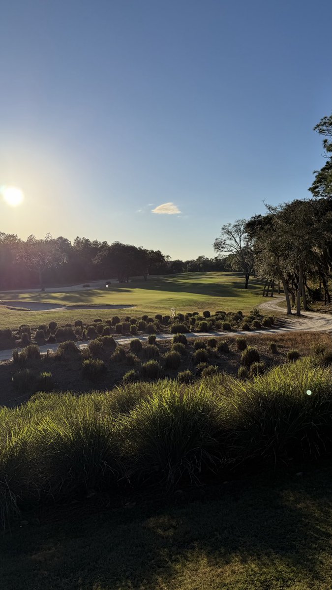Madjack Golf tweet media