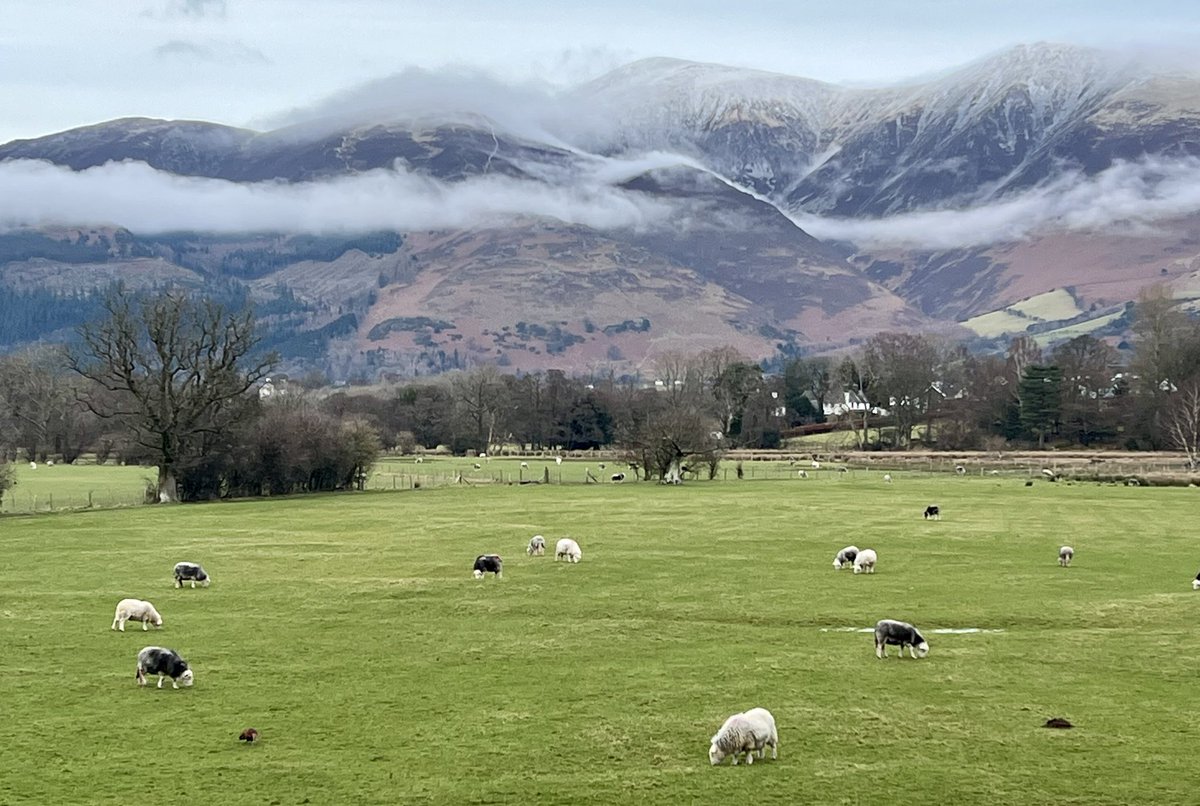 Sue Wilkinson tweet media